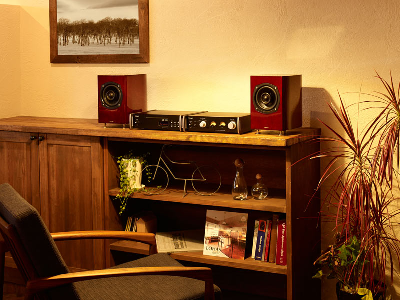 loa bookshelf TEAC S-300NEO