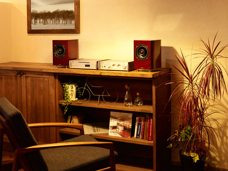 ung dung loa teac s-300neo