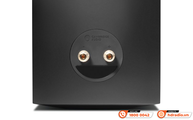 Loa Cambridge Audio Evo S