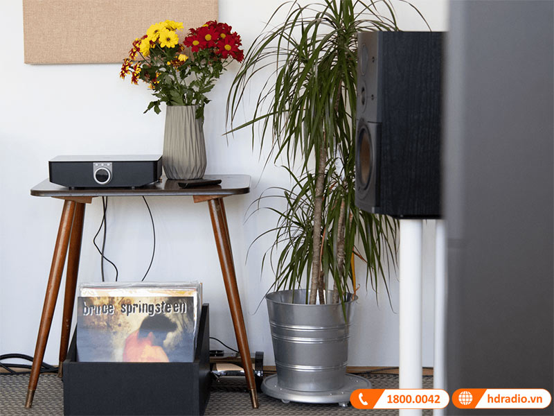 Loa Dali Callisto 2C