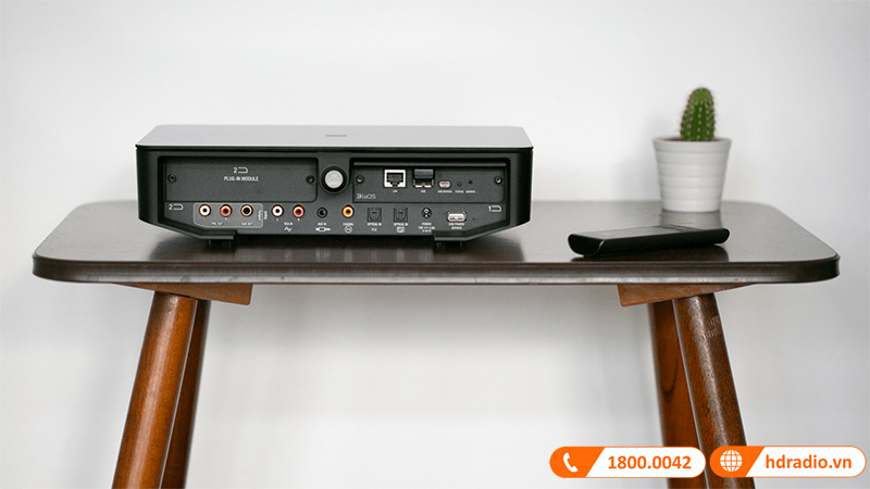 Loa Dali Callisto 2C