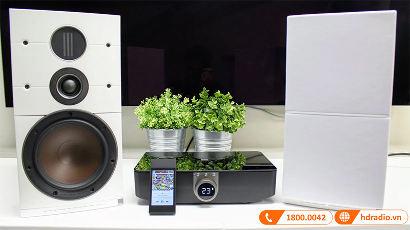 Loa Dali Callisto 2C