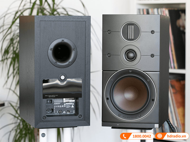 Loa Dali Callisto 2C