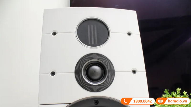 Loa Dali Callisto 2C