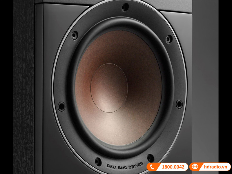 Loa Dali Callisto 6C