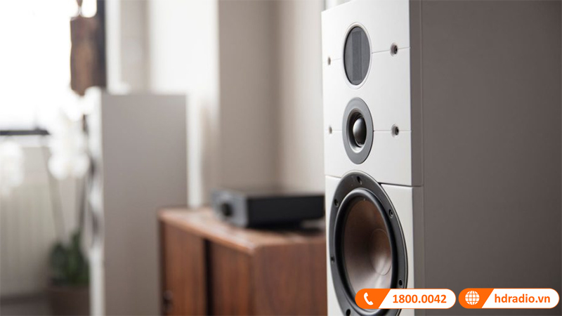 Loa Dali Callisto 6C