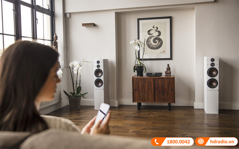 Loa Dali Callisto 6C