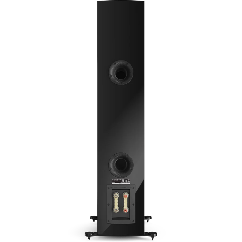 Loa Dali Rubikore 6 (Độ nhạy 88.5 dB, Tần số 38 Hz - 34kHz)-11