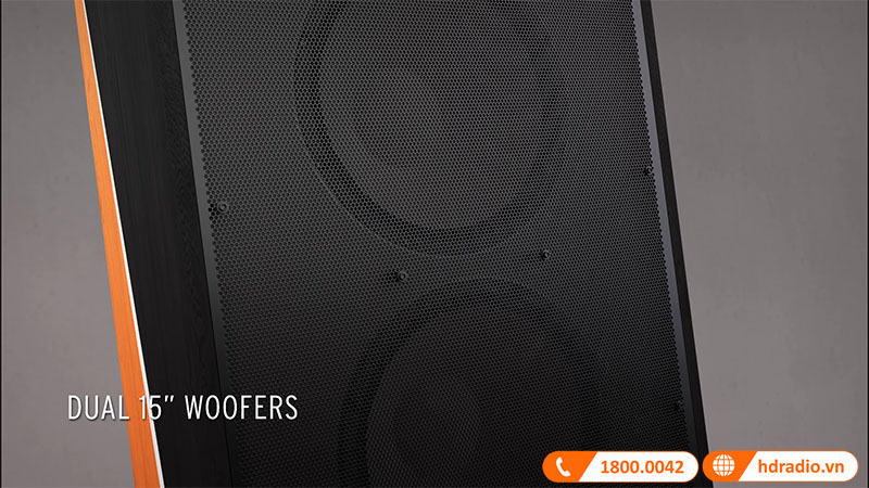 loa trầm kép đường kính 38cm