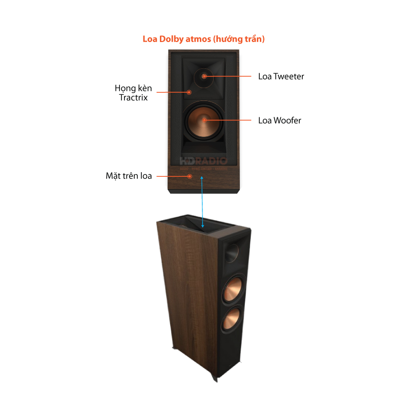 cau tao loa dolby atmos