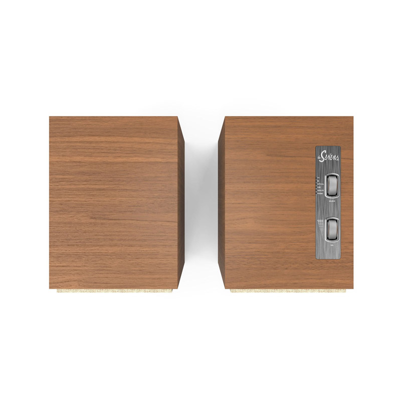 mặt trên của loa