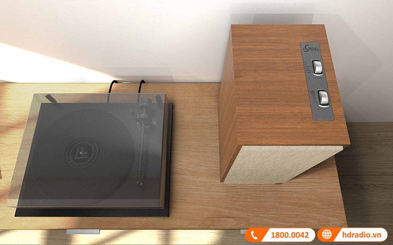 cho phép kết nối với đầu đĩa than