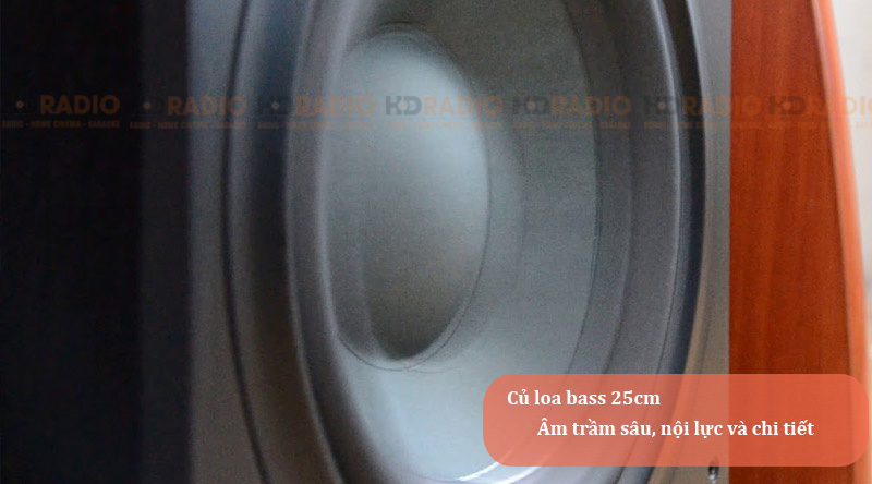 Loa Sub B&W ASW610XP