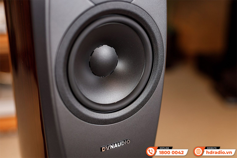 Woofer Loa Dynaudio Confidence 20