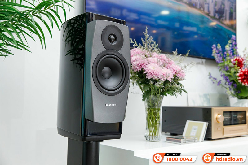 phồi ghép dễ dàng với Loa Dynaudio Confidence 20