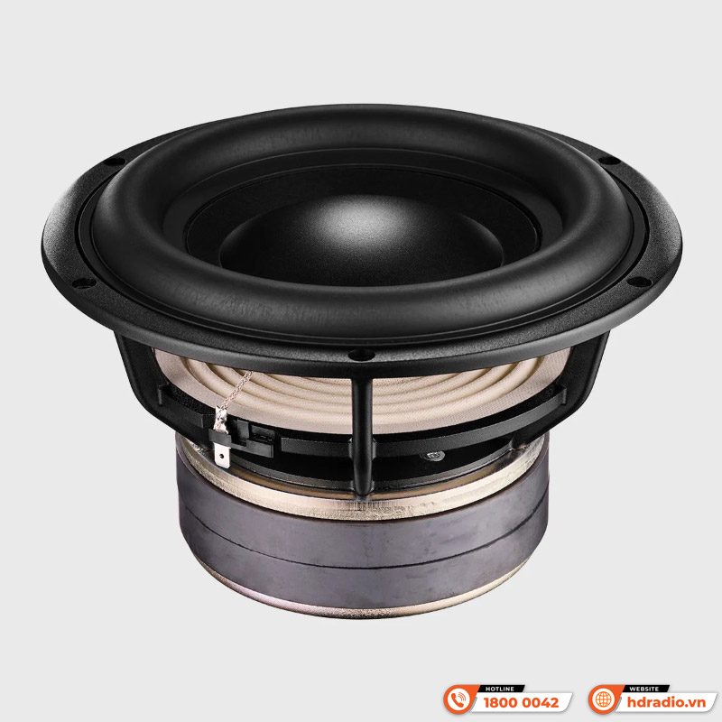 Loa Dynaudio Core Sub
