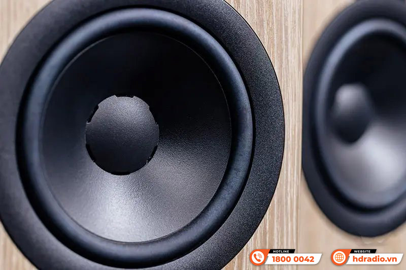 Loa Dynaudio Focus 10 