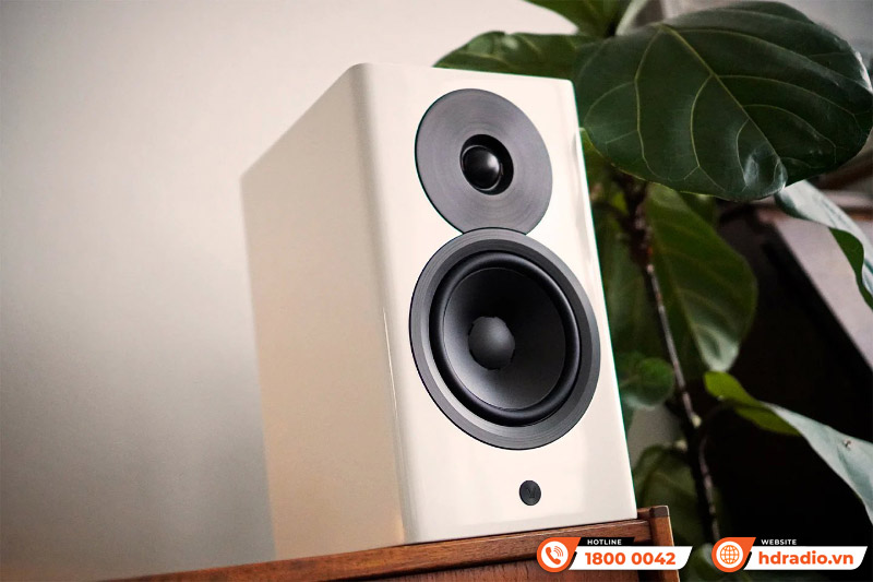 Loa Dynaudio Focus 10