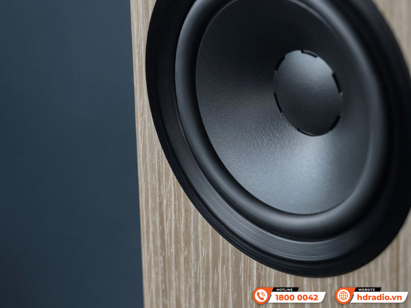 Loa Dynaudio Focus 30