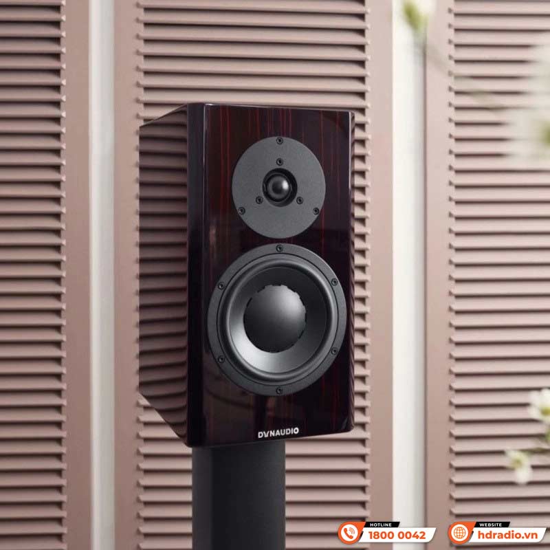 Phối ghép Loa Dynaudio Special Forty