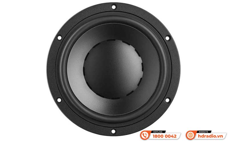 Woofer Loa Dynaudio Special Forty