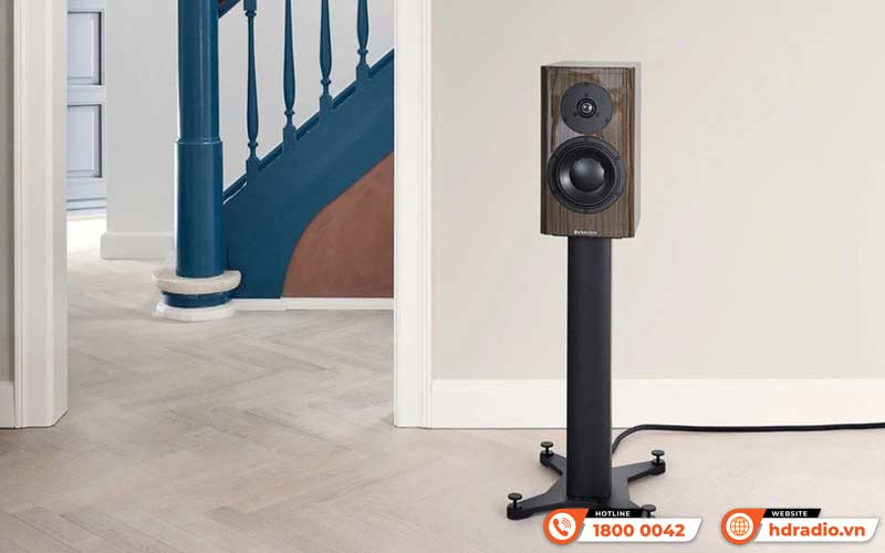 Loa Dynaudio Special Forty