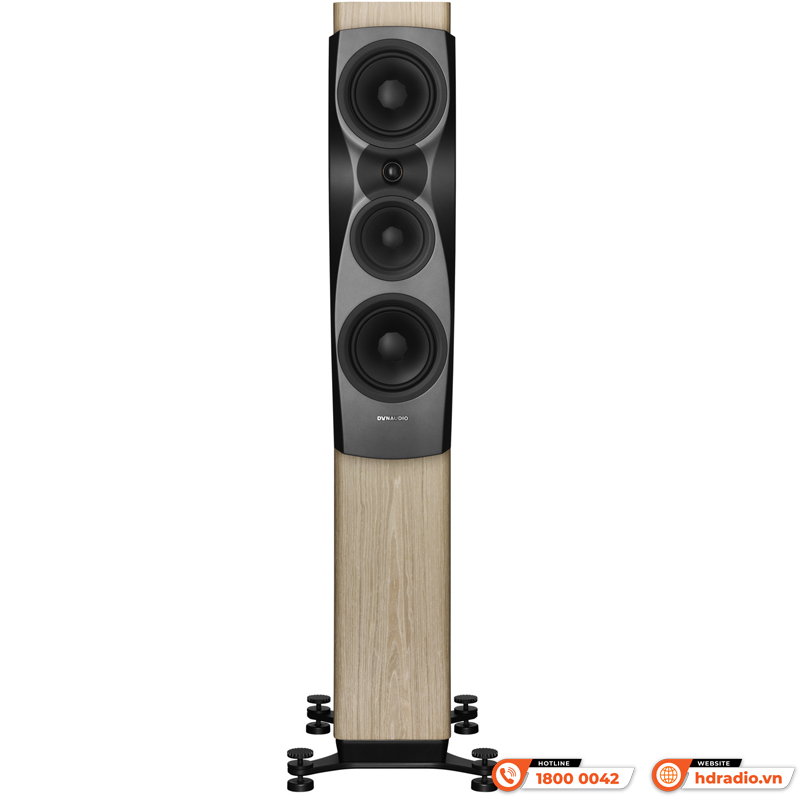 Loa Dynaudio Confidence 30 (Bass 18 cm x 2, 350W, 88dB, 4 Ohms, 38 Hz - 22 kHz)-6