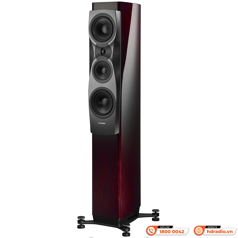 Loa Dynaudio Confidence 30 (Bass 18 cm x 2, 350W, 88dB, 4 Ohms, 38 Hz - 22 kHz)-2