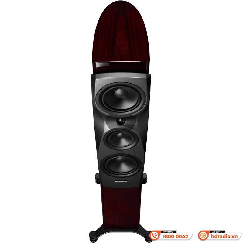 Loa Dynaudio Confidence 30 (Bass 18 cm x 2, 350W, 88dB, 4 Ohms, 38 Hz - 22 kHz)-3