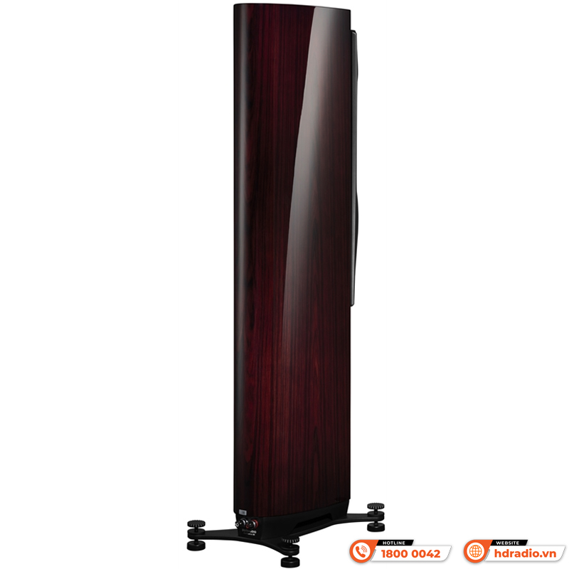 Loa Dynaudio Confidence 30 (Bass 18 cm x 2, 350W, 88dB, 4 Ohms, 38 Hz - 22 kHz)-5