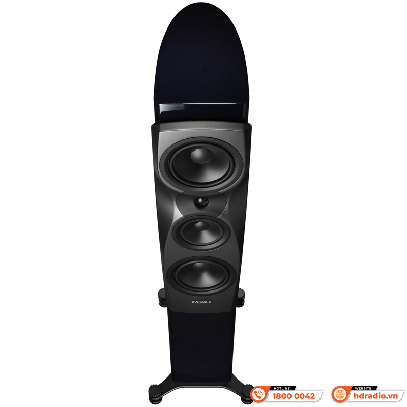 Loa Dynaudio Confidence 30 (Bass 18 cm x 2, 350W, 88dB, 4 Ohms, 38 Hz - 22 kHz)-8