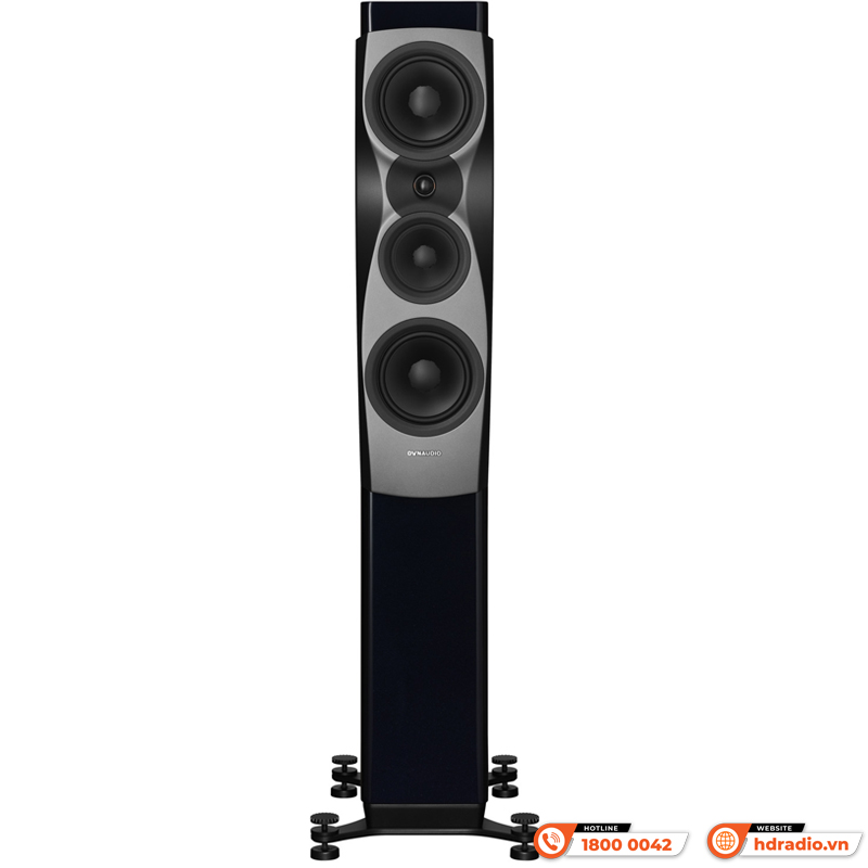 Loa Dynaudio Confidence 30 (Bass 18 cm x 2, 350W, 88dB, 4 Ohms, 38 Hz - 22 kHz)-7