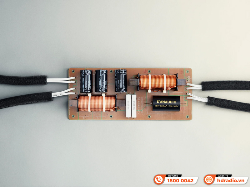 Loa Dynaudio Confidence 50