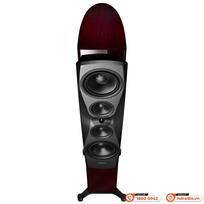 Loa Dynaudio Confidence 60 (Bass 25cm x 2, 600 W, 87dB, 4 Ohms, 29 Hz - 22 kHz)-9