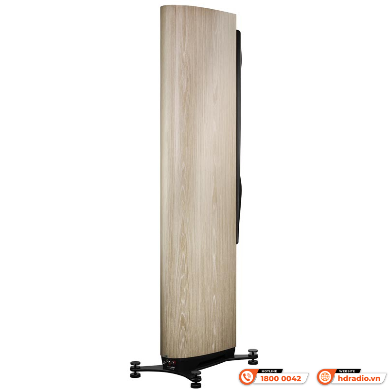 Loa Dynaudio Confidence 60 (Bass 25cm x 2, 600 W, 87dB, 4 Ohms, 29 Hz - 22 kHz)-11