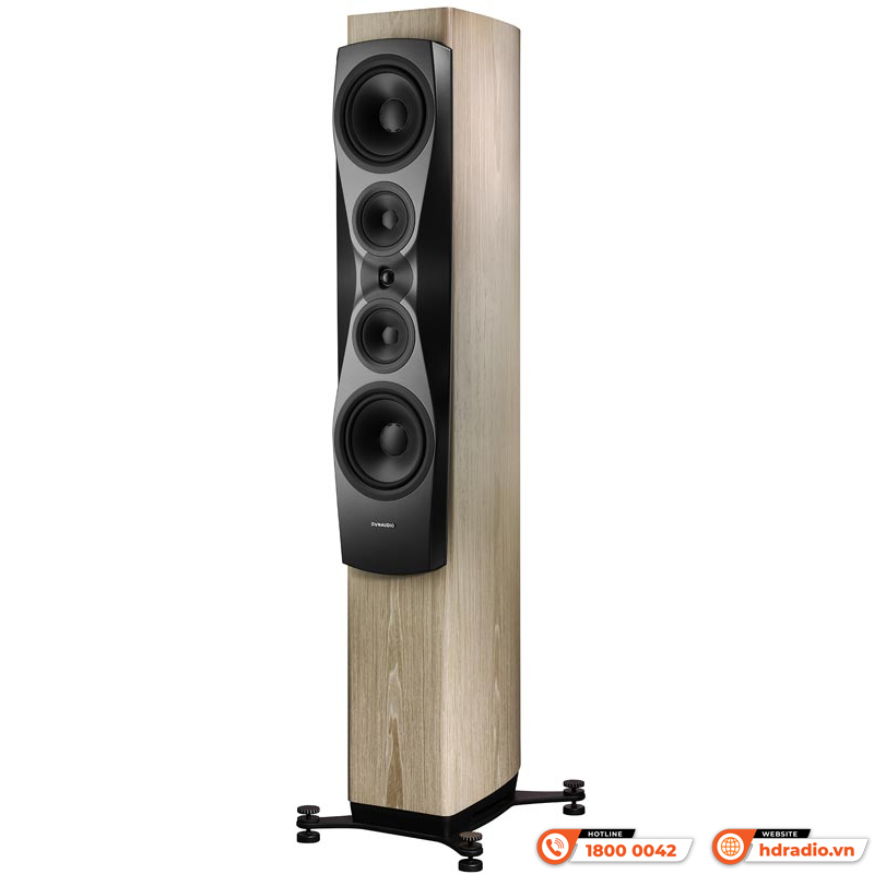 Loa Dynaudio Confidence 60 (Bass 25cm x 2, 600 W, 87dB, 4 Ohms, 29 Hz - 22 kHz)-12