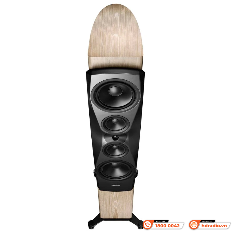 Loa Dynaudio Confidence 60 (Bass 25cm x 2, 600 W, 87dB, 4 Ohms, 29 Hz - 22 kHz)-13