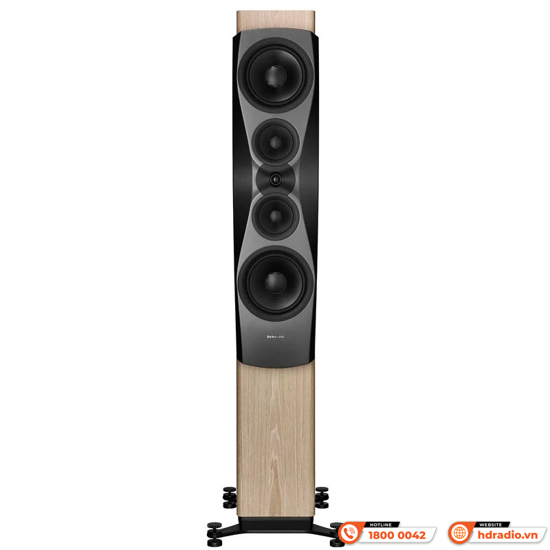 Loa Dynaudio Confidence 60 (Bass 25cm x 2, 600 W, 87dB, 4 Ohms, 29 Hz - 22 kHz)-14