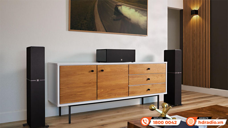 Loa Definitive Technology Dymension DM10 Loa Definitive Technology Dymension DM10