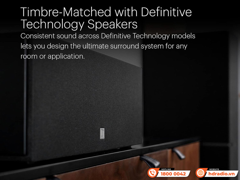 Loa Definitive Technology Dymension DM10 Loa Definitive Technology Dymension DM10