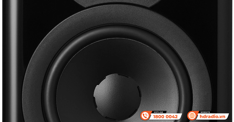 Loa Dynaudio Evoke 10