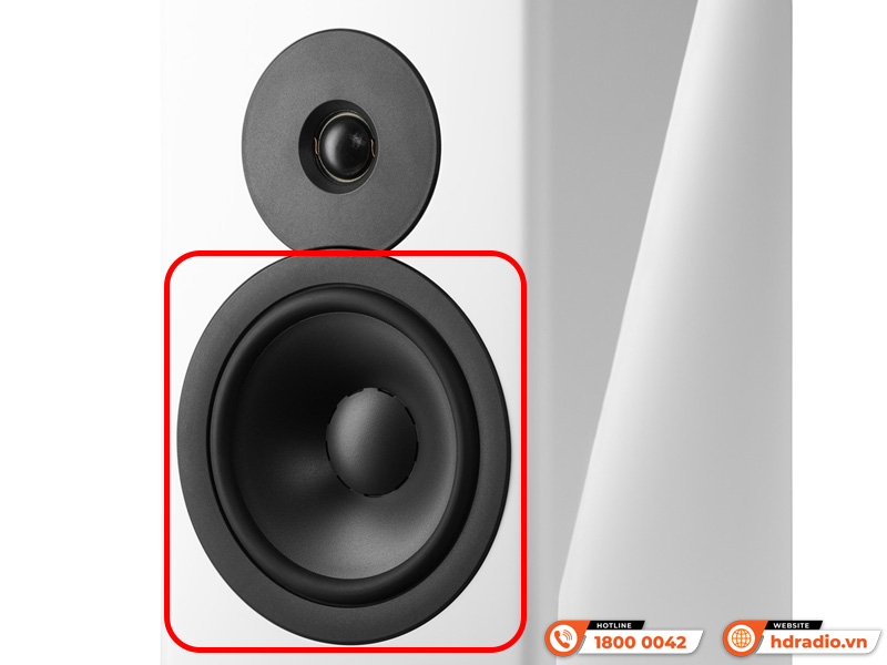 Loa Dynaudio Evoke 20