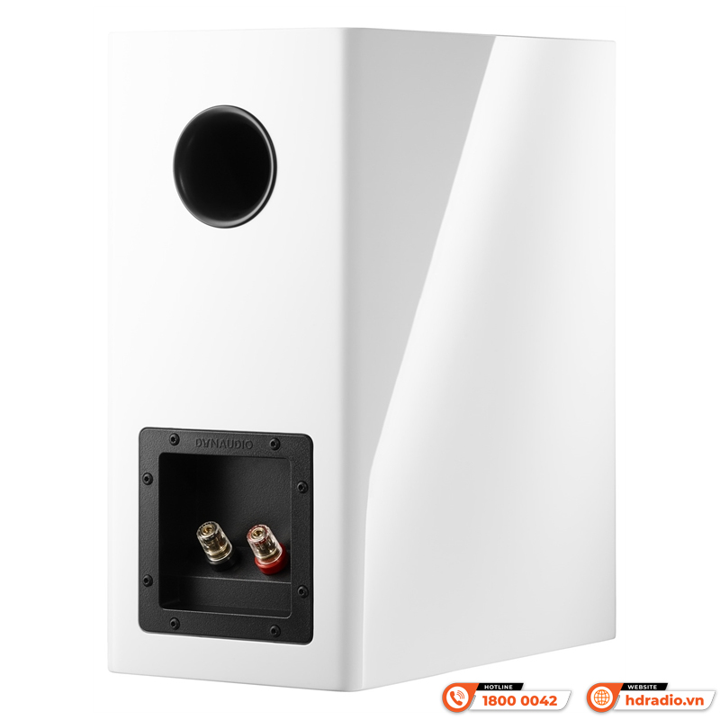 Loa Dynaudio Evoke 20 (Bass 18cm, 180W, 86dB, 86dB, 6 Ohms, 40Hz–23kHz)-4