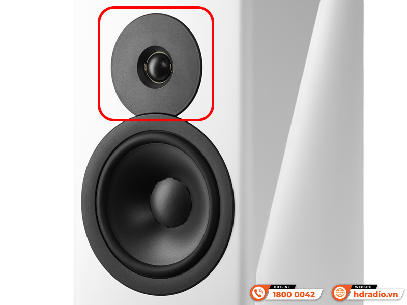 Loa Dynaudio Evoke 20