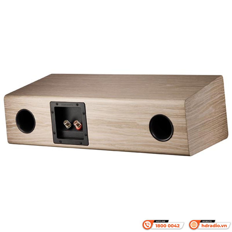 Loa Dynaudio Evoke 25C (Bass 15cm x 2, 200W, 88 dB, 4 Ohms, 50Hz – 23kHz)-19