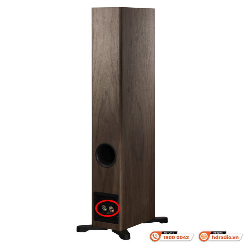Loa Dynaudio Evoke 30 