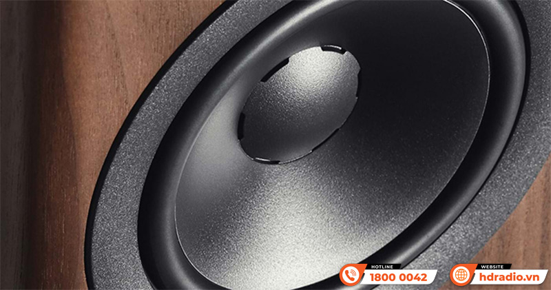 Loa Dynaudio Evoke 50