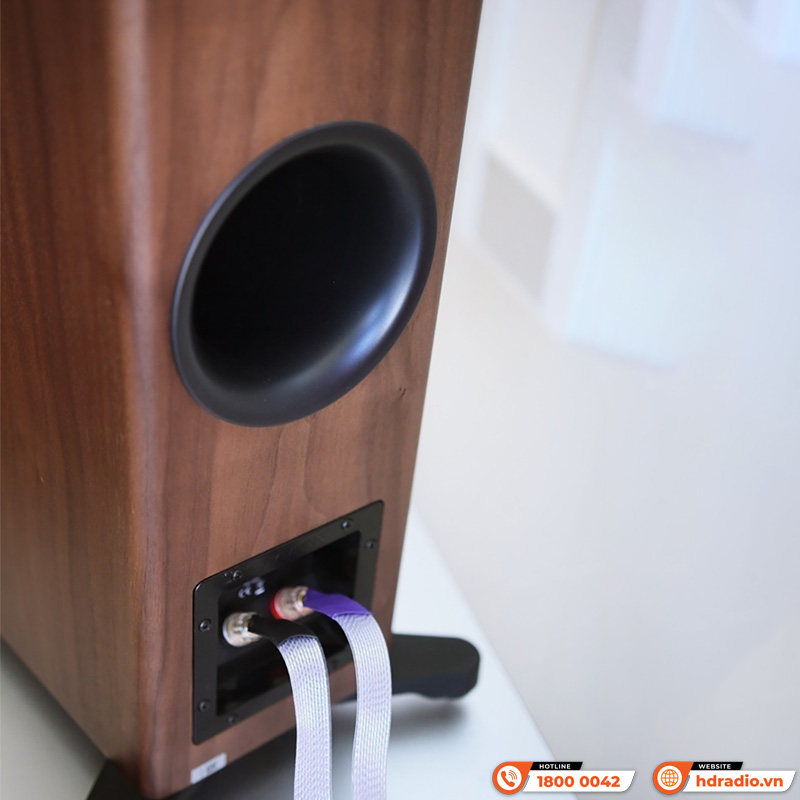 Loa Dynaudio Evoke 50