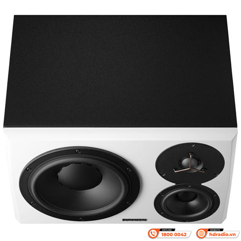 Loa Dynaudio LYD 48, Bass 20cm, 180W, 112 dB, 50 Hz - 21 kHz-11