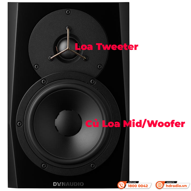 Loa Dynaudio LYD 5